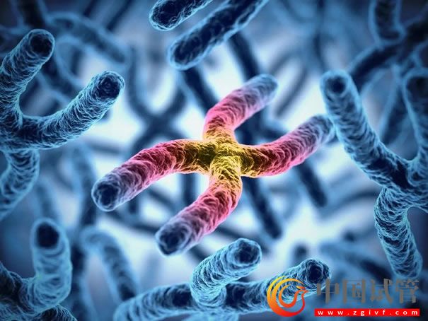 哪幾個區(qū)域的y染色體微缺失符合第三代試管指征？(圖1)