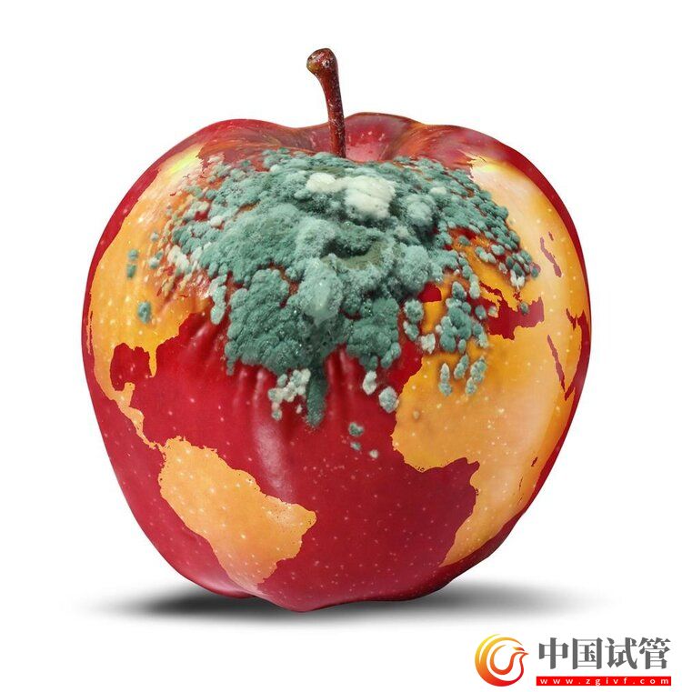 中國(guó)癌癥高發(fā),與水果吃太少有關(guān)?(圖1) 中國(guó)癌癥高發(fā),與水果吃太少有關(guān)?(圖1)