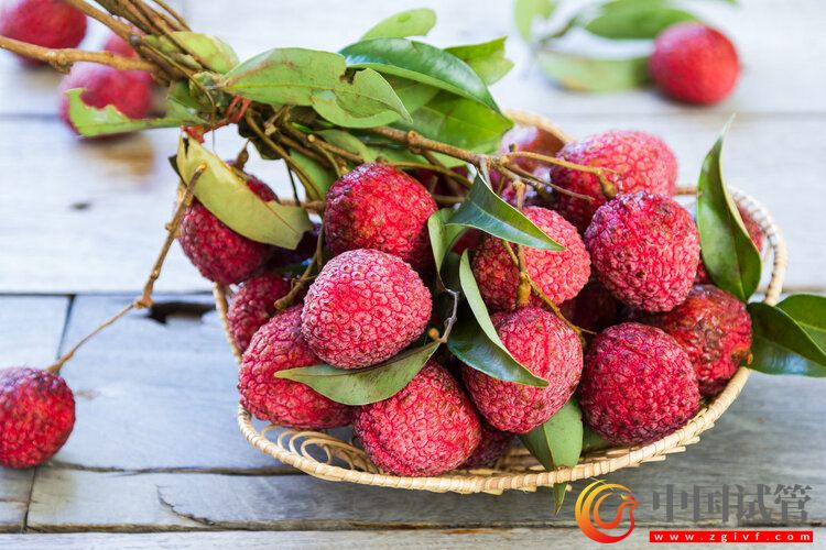 中國(guó)癌癥高發(fā),與水果吃太少有關(guān)?(圖4) 中國(guó)癌癥高發(fā),與水果吃太少有關(guān)?(圖4)