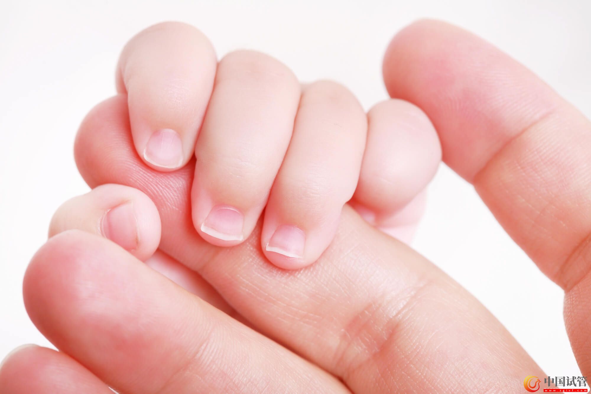 銅仁試管嬰兒醫(yī)院費(fèi)用(圖1) 銅仁試管嬰兒醫(yī)院費(fèi)用(圖1)