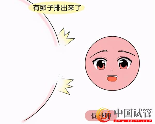 安慶試管嬰兒醫院哪里做的好(圖1)