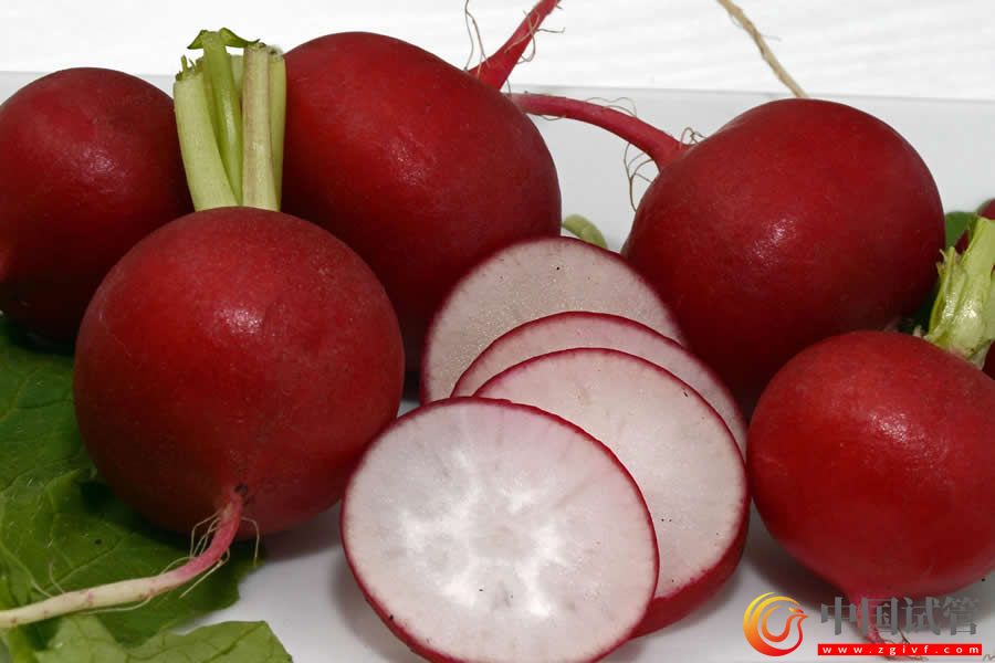 海南三沙助孕試管嬰兒成功率(圖1) 海南三沙助孕試管嬰兒成功率(圖1)