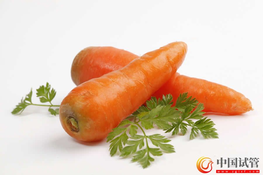 本溪第三代試管嬰兒多少錢,貴不貴?(圖1) 本溪第三代試管嬰兒多少錢,貴不貴?(圖1)