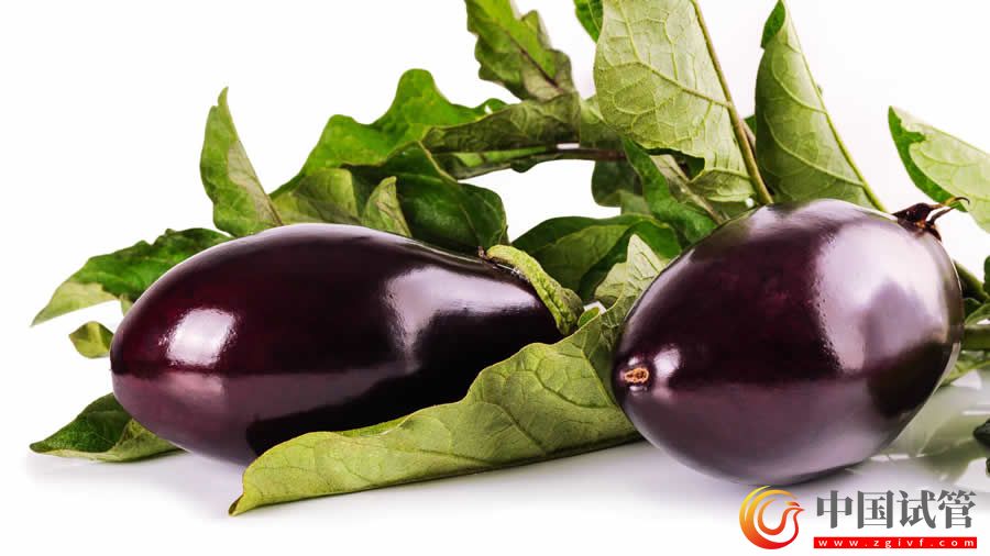 白城第三代試管嬰兒價(jià)格，多少錢？(圖1)