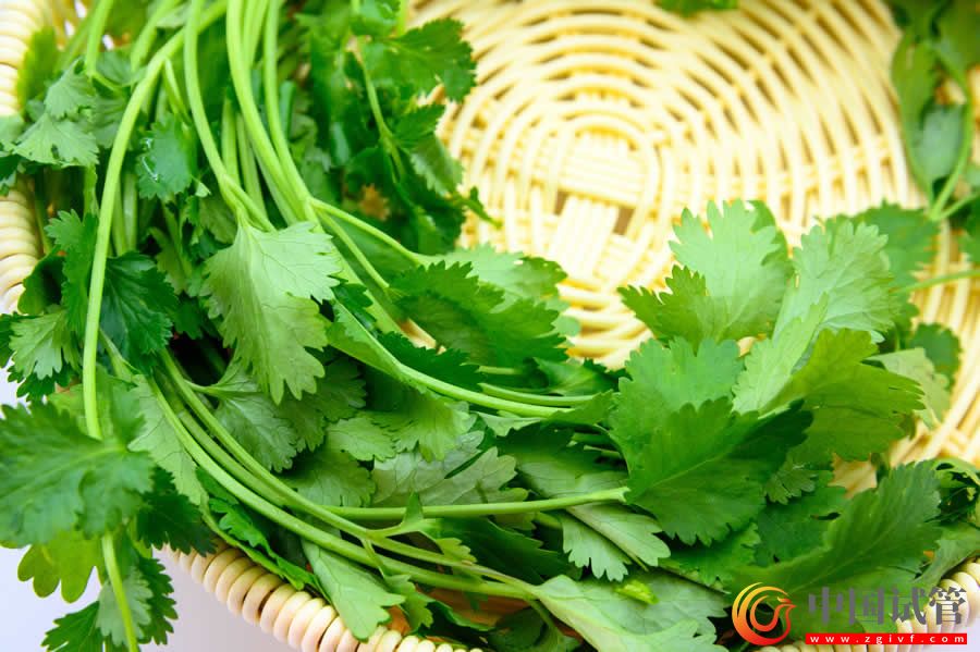 拉薩三代試管醫院怎么選？(圖1)