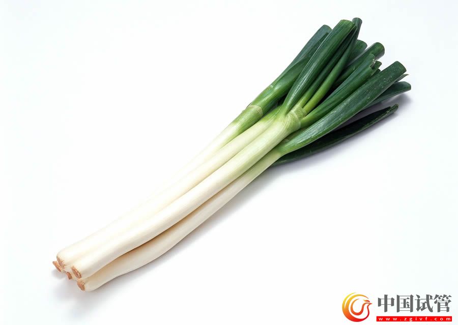 伊春第三代試管嬰兒哪個(gè)醫(yī)院可以做?(圖1) 伊春第三代試管嬰兒哪個(gè)醫(yī)院可以做?(圖1)