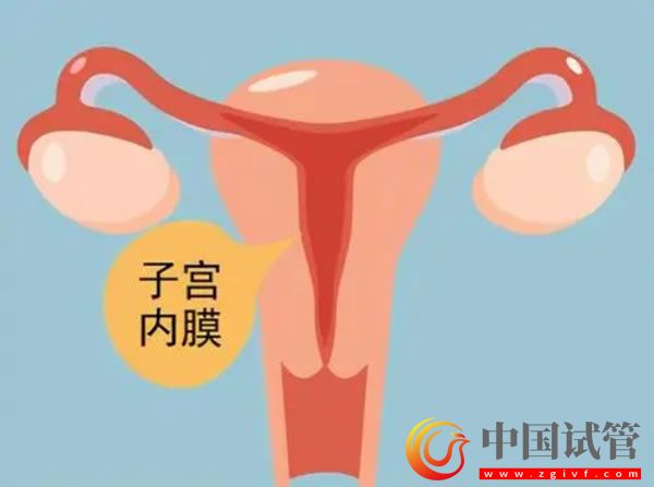 山南有沒有做第三代試管嬰兒的醫院？(圖1)