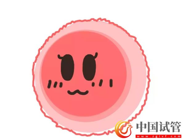 昌都哪些醫院可以做第三代試管嬰兒？(圖1)