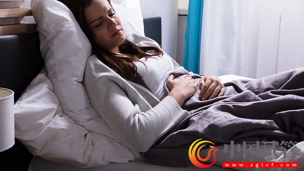 卵巢囊泡是怎么形成的原來(lái)是這樣子的(圖3) 卵巢囊泡是怎么形成的原來(lái)是這樣子的(圖2)