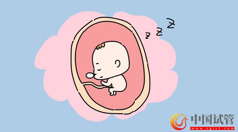 喀什試管嬰兒醫(yī)院哪里成功率高(圖1) 喀什試管嬰兒醫(yī)院哪里成功率高(圖1)
