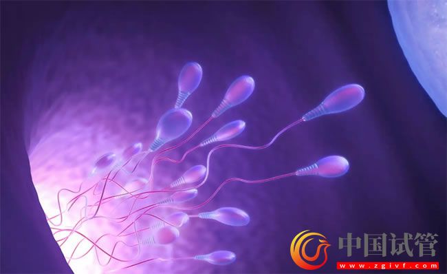 吐魯番哪做第三代試管嬰兒？(圖1)