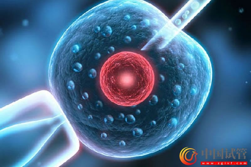 博爾塔拉有可以做第三代試管嬰兒的醫(yī)院?jiǎn)幔?圖1) 博爾塔拉有可以做第三代試管嬰兒的醫(yī)院?jiǎn)幔?圖1)