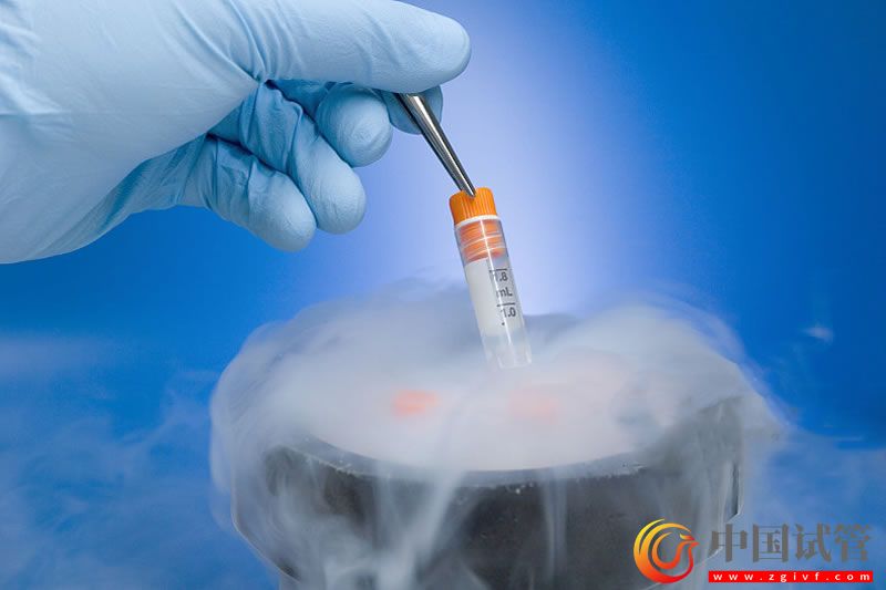 海西第三代試管嬰兒價格是多少錢,哪個醫(yī)院可以做?(圖1) 海西第三代試管嬰兒價格是多少錢,哪個醫(yī)院可以做?(圖1)