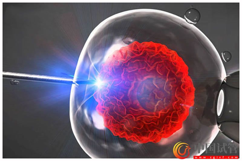 玉樹做第三代試管嬰兒的醫(yī)院有哪些?(圖1) 玉樹做第三代試管嬰兒的醫(yī)院有哪些?(圖1)