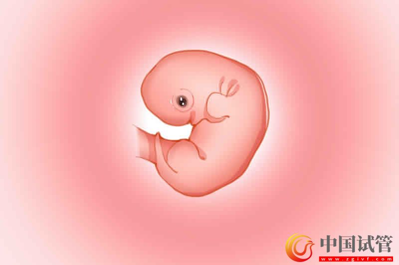 做試管嬰兒發展歷史及優缺點(圖2)