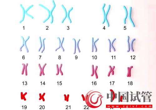 什么是PGT、PGS和PGD?(圖8) 什么是PGT、PGS和PGD?(圖8)