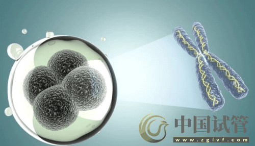 什么是PGT、PGS和PGD?(圖6) 什么是PGT、PGS和PGD?(圖6)