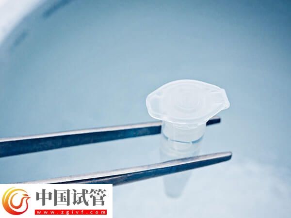 周口單周期人授成功率不高,想盡快成功選對(duì)醫(yī)院是關(guān)鍵(圖1) 周口單周期人授成功率不高,想盡快成功選對(duì)醫(yī)院是關(guān)鍵(圖1)