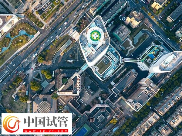 重慶大坪醫院單次試管嬰兒開銷分享，全程差不多5w(圖2)