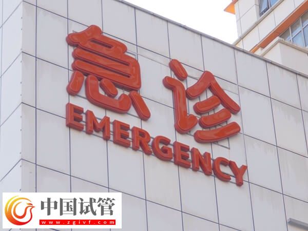 杭州供卵試管嬰兒單周期花費(fèi)約4萬,選三代試管價(jià)格更高(圖1) 杭州供卵試管嬰兒單周期花費(fèi)約4萬,選三代試管價(jià)格更高(圖1)