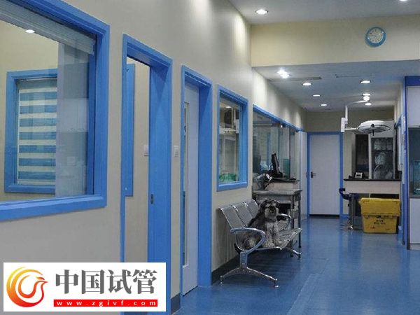 萍鄉供卵試管嬰兒現狀分析，內附醫院及價格介紹(圖2)