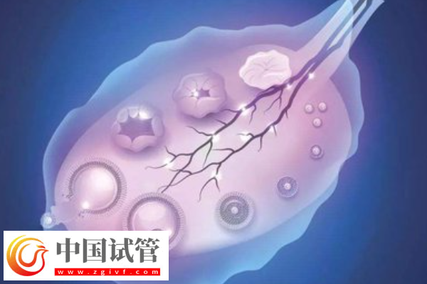許昌三代試管機構騙局科普，一文叫你如何防止被騙(圖1)