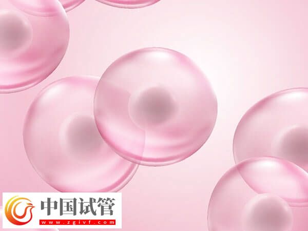 女性卵子質(zhì)量差易不孕，日常補(bǔ)鐵好處多多！(圖2)