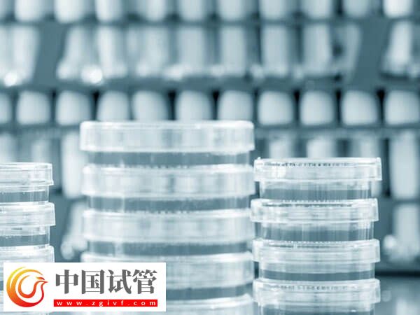 長沙熱門人工受孕醫(yī)院匯總,前三家成功率均在50%以上(圖3) 長沙熱門人工受孕醫(yī)院匯總,前三家成功率均在50%以上(圖3)