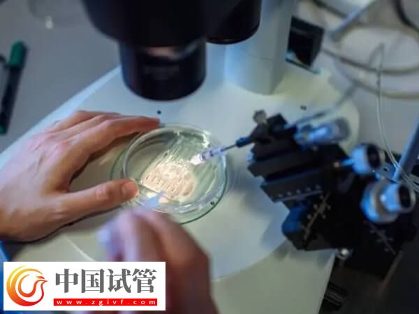 天津中心婦產(chǎn)醫(yī)院三代試管流程分享，附詳細(xì)收費(fèi)一覽(圖1)