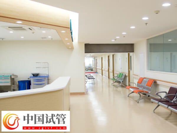 柳州三大供卵試管嬰兒醫(yī)院推薦,成功率均在45%以上(圖1) 柳州三大供卵試管嬰兒醫(yī)院推薦,成功率均在45%以上(圖1)