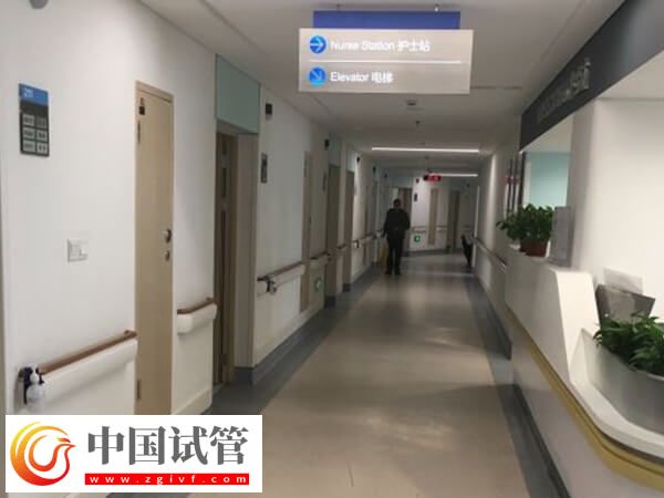 東莞權威試管嬰兒機構排行榜出爐,市人民醫院綜合第一(圖1) 東莞權威試管嬰兒機構排行榜出爐,市人民醫院綜合第一(圖1)