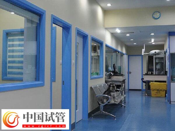 一文了解鎮(zhèn)江二代試管嬰兒收費情況,檢查到移植至少4萬(圖1) 一文了解鎮(zhèn)江二代試管嬰兒收費情況,檢查到移植至少4萬(圖1)