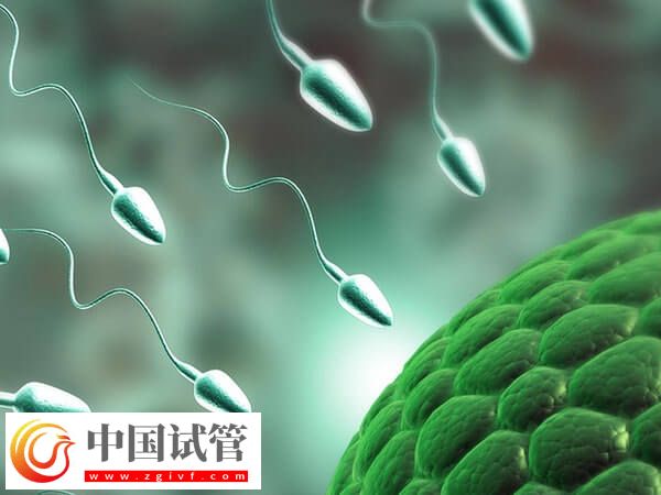 常德市婦幼保健院助孕攻略手冊(cè),附一、二、三代成功率參考(圖2) 常德市婦幼保健院助孕攻略手冊(cè),附一、二、三代成功率參考(圖2)