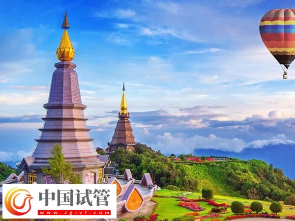 海外各國試管嬰兒費用一覽，內含西班牙、印度等地(圖1)