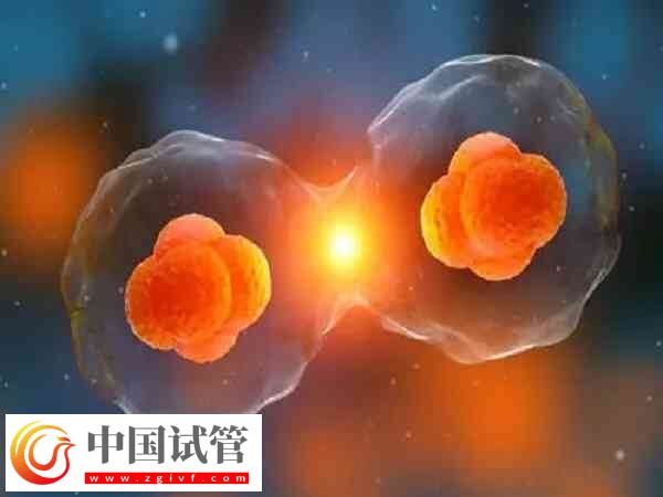 臨汾市人民醫院做試管嬰兒怎么樣？技術和成功率一覽(圖1)