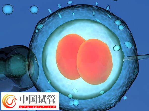 重慶權(quán)威生殖醫(yī)生匯總,怎么選看專業(yè)背景(圖2) 重慶權(quán)威生殖醫(yī)生匯總,怎么選看專業(yè)背景(圖2)