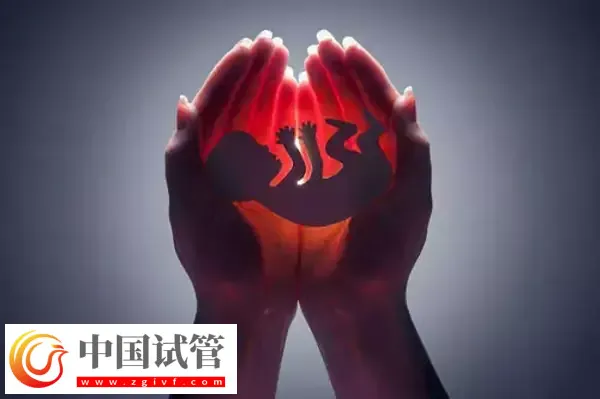 沒有子宮能生孩子嗎(圖4) 沒有子宮能生孩子嗎(圖4)