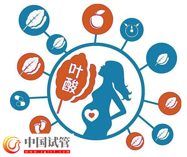 囊胚等級與寶寶健康之間有關系嗎?(圖6) 囊胚等級與寶寶健康之間有關系嗎?(圖6)