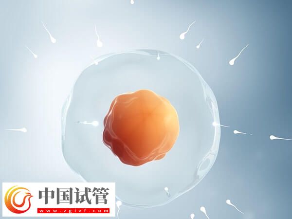 南京正規人授醫院排名公開,省婦幼綜合實力第一(圖1) 南京正規人授醫院排名公開,省婦幼綜合實力第一(圖1)