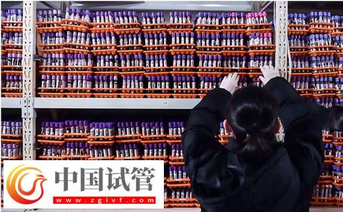 DNA親子鑒定結果 昌都試管嬰兒親子鑒定怎么比對(圖1)