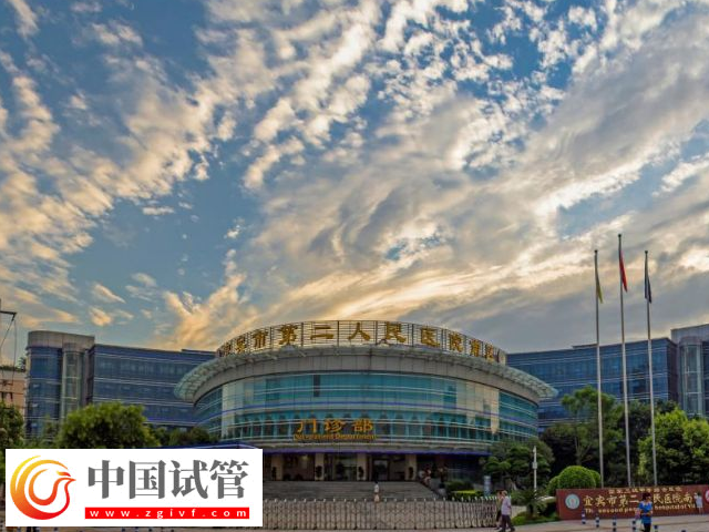 宜賓二醫院試管嬰兒花費單分享,驗孕保胎需要百元起步(圖1) 宜賓二醫院試管嬰兒花費單分享,驗孕保胎需要百元起步(圖1)