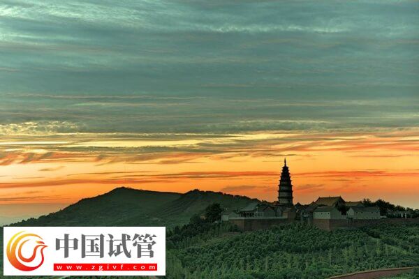 平頂山試管嬰兒醫(yī)院排名,2024造娃價目表、成功率參考(圖1) 平頂山試管嬰兒醫(yī)院排名,2024造娃價目表、成功率參考(圖1)