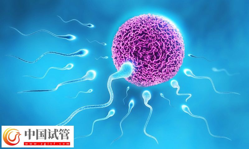 上海試管嬰兒醫院排名，哪家醫院口碑好?(圖1)