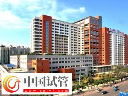 紅河有沒有做二代試管嬰兒的醫院？(圖2)