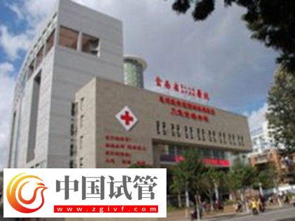 紅河有沒有做二代試管嬰兒的醫院？(圖5)