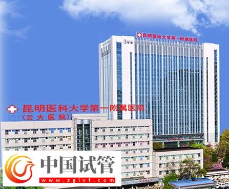 紅河有沒有做二代試管嬰兒的醫院？(圖10)