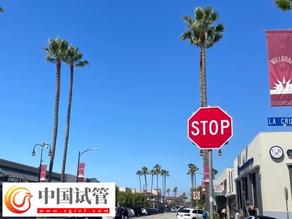 全世界范圍內試管嬰兒哪個國家技術更先進一些？(圖1)