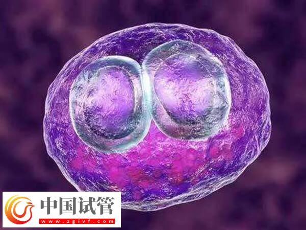 胚胎移植15天出血的原因是什么(圖1)