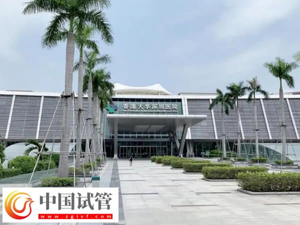 香港大學深圳醫院試管嬰兒怎么樣(圖1)