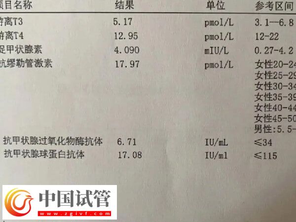 為什么41歲女人做試管嬰兒會失?。勘澈笳嫦啻蠼颐?圖1)